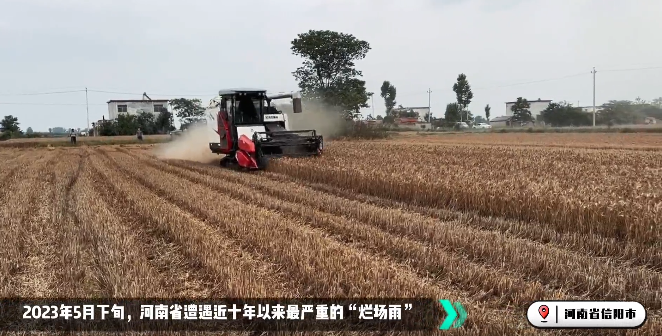 麦收大会战！总收获机忙！忙！忙！