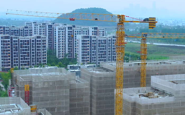 坐标杭州，总塔机组团“上大学”